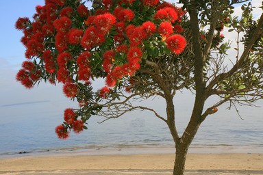  Milford Beach